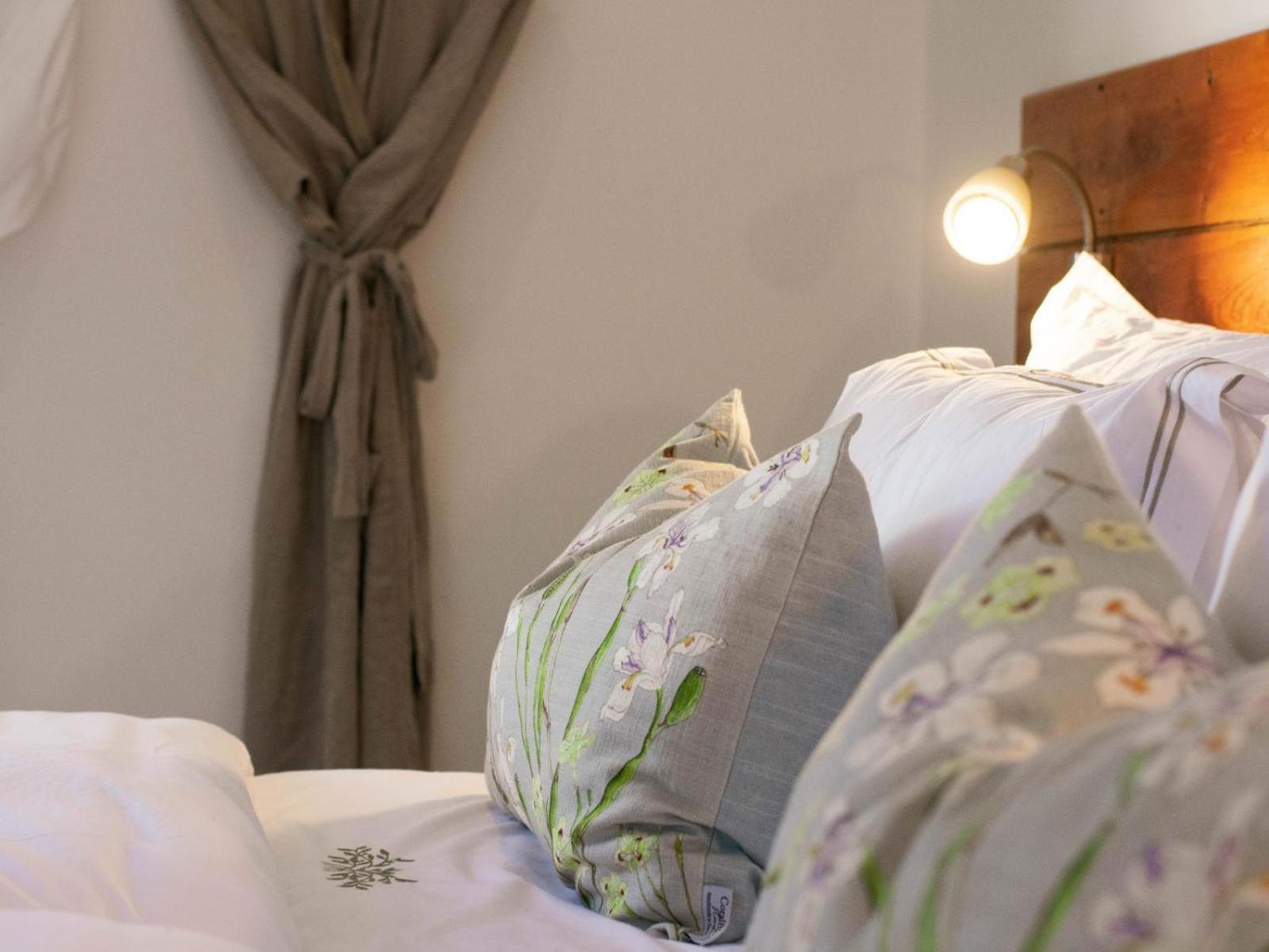 Kolonie'S Tuin Hotel สเตลเลนบอช ภายนอก รูปภาพ